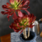 Rare Red Artificial Succulent Ornaments Flowers For Pub