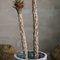 120cm Artificial Plant Faux Bonsai Dracaena Anti UV Plastic Leaves