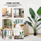 H160cm Artificial Traveller's Palm Customized Decorated For Store Office Corner Home Decor