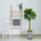SGS UV Resistance Artificial Money Tree For Home Decoration Green Color Indoor Plants