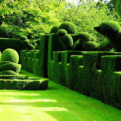 Stunning Artificial Landscape Trees Garden Decoration Topiary Animal Boxwood Green Plant