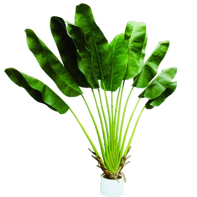 2m Fiber Glass Artificial Potted Plant Indoor Evergreen Decorative Banana Tree