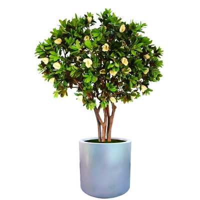 Environmentally Friendly Artificial Magnolia Tree No Color Fading Evergreen Plants