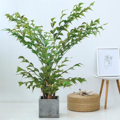 170cm Artificial Landscape Trees Fishtail Plant Indoor Decoration No Watering