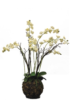 Custom Color 117cm Artificial Orchids For Table Simulated From European Orchid