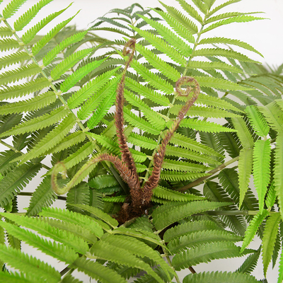 Mini Artificial Fern Plants For Architectural Landscaping