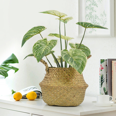 Ornamental Small Items Artificial Potted Floor Plants Philodendron Birkin