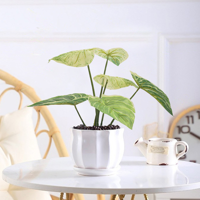 Ornamental Small Items Artificial Potted Floor Plants Philodendron Birkin