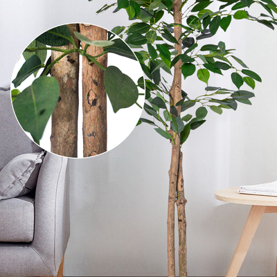 Flame Retardant H180cm Artificial Ficus Plant , Ficus Fake Tree Natural Look