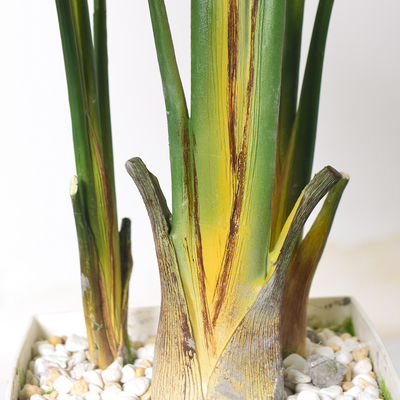 Artificial Bird of Paradise Plant 6.8FT - Luxury Faux Palm Tree in White Planter for Indoor Office Decor