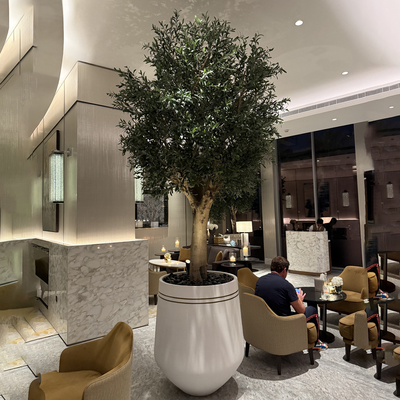 Custom Large Artificial Olive Tree 3-8m | Commercial Grade Faux Olive Plant