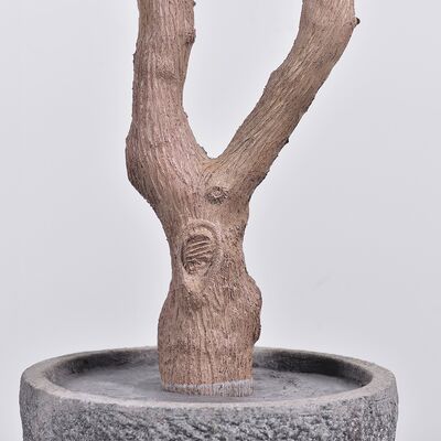 Wholesale 220cm Artificial Bougainvillea Plant - Model B White - Haihong Factory Direct | Realistic Outdoor Decor | Bulk Supply for Landscaping