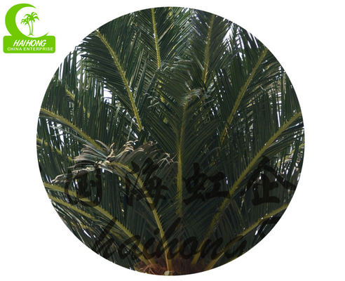 800cm Artificial Tropical Tree