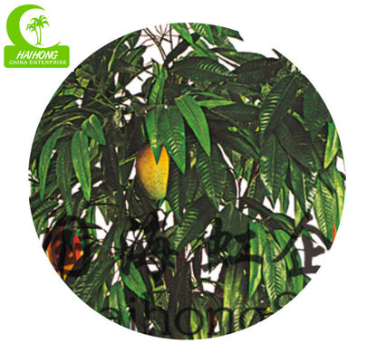 Tropical Mango Trees For Sale Chinese Goods Wholesale Artificial Mango Tree