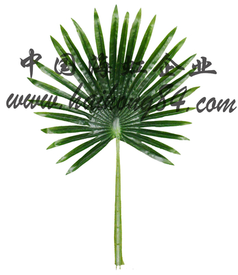 All Season Artificial Palm Plants Outdoor , 6ft Faux Tree For Decoration
