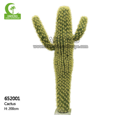 Height 200cm Artificial Succulent Plant , Artificial Large Cactus Plants  Realistic