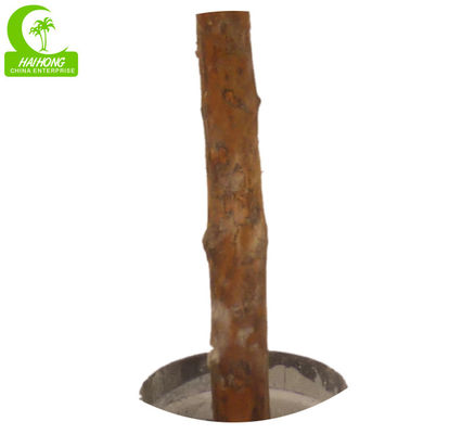 Factory Handmade Hot Selling Popular Artificial Zebra Plant With Pot