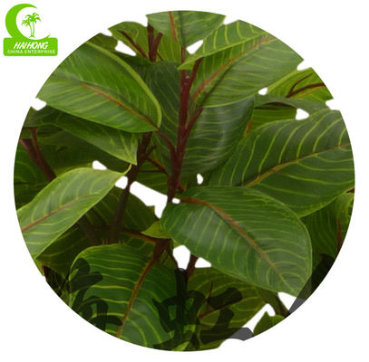 Good-Looking Homesense Artificial Plants Artificial Zebra Plant Garden Decor