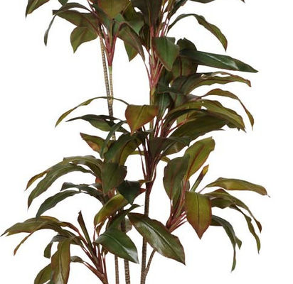 Bonsai Stunning Cordyline Artificial Potted Floor Plants 190cm Height