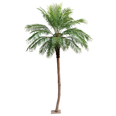 Nordic Retro Bionic Tropical Phoenix Palm Tree Floor Green Hotel Decor