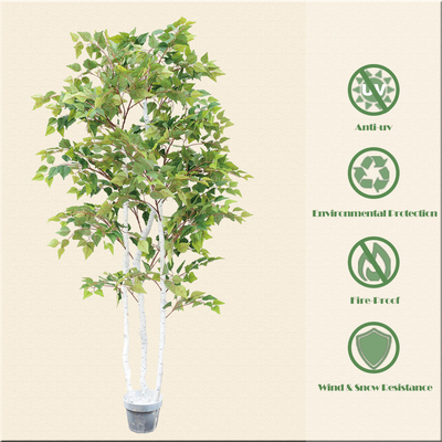 Ornamental Plant Artificial Radermachera Sinica Natural Greening For Home Decoration