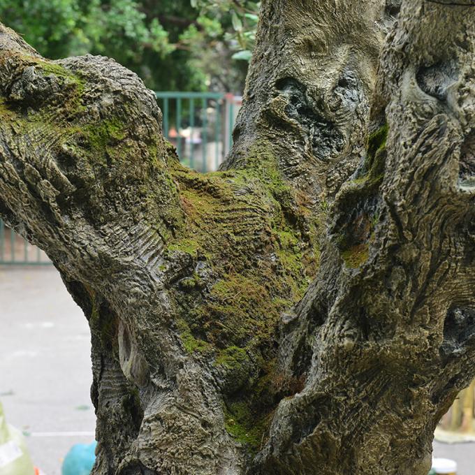 Factory Priced Large Artificial Olive Tree Huge Ornamental Fiberglass Tree for Indoor Restaurants and Shopping Malls Decor 0