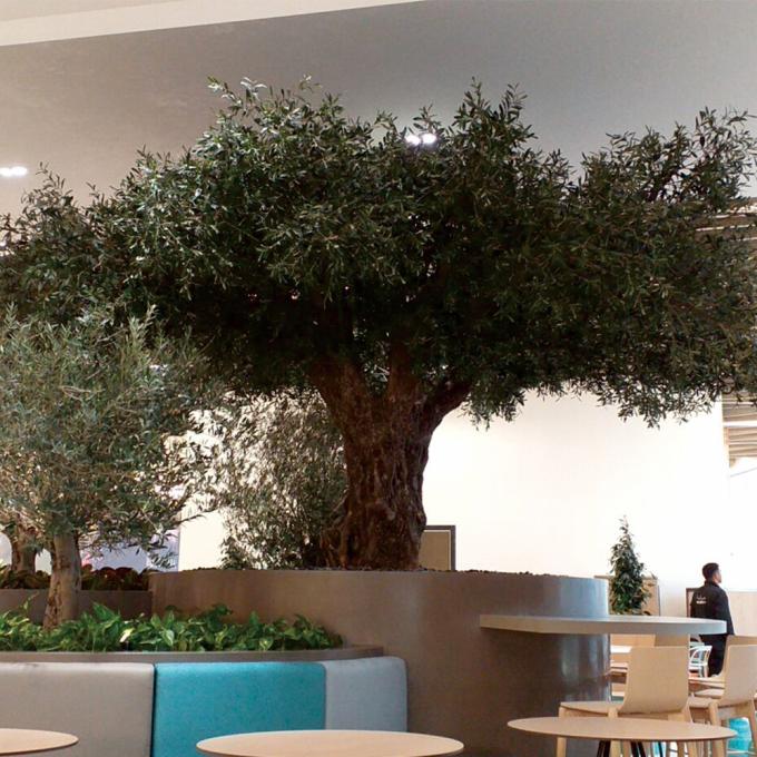 Custom Large Artificial Olive Tree 3-8m | Commercial Grade Faux Olive Plant 3