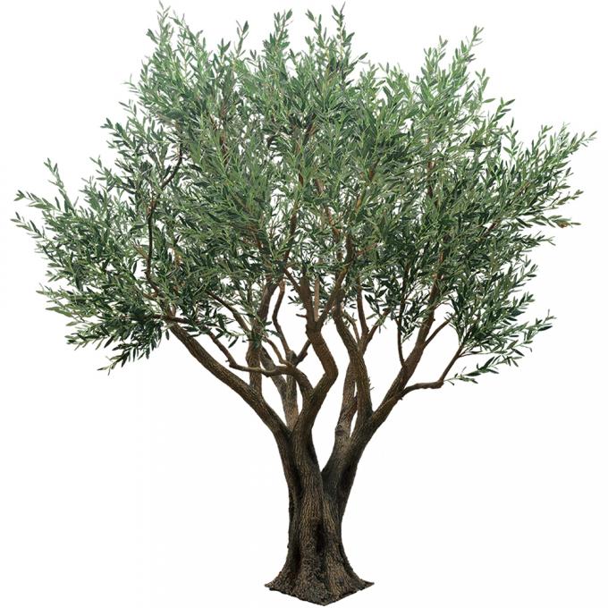 Custom Large Artificial Olive Tree 3-8m | Commercial Grade Faux Olive Plant 4
