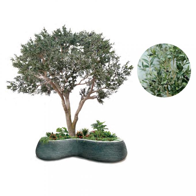 Custom Large Artificial Olive Tree 3-8m | Commercial Grade Faux Olive Plant 6