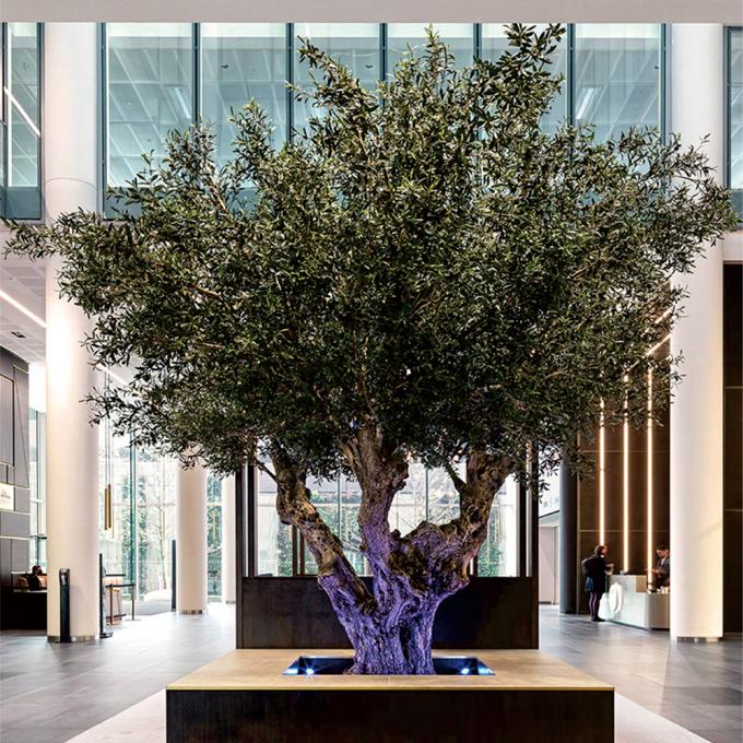 Custom Large Artificial Olive Tree 3-8m | Commercial Grade Faux Olive Plant 7