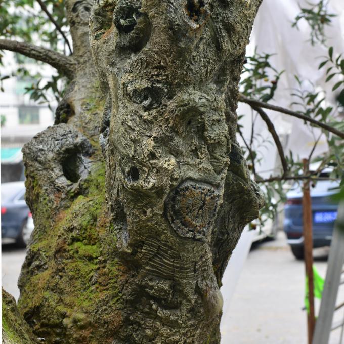 UV-Resistant large 5m customized olive tree artificial with Trunk Realism Realistic Fruits for Hotel Lobbies & Resorts Shopping Mall Luxury Villas 7