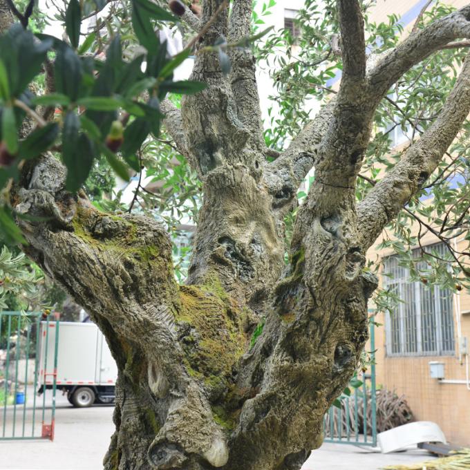 UV-Resistant large 5m customized olive tree artificial with Trunk Realism Realistic Fruits for Hotel Lobbies & Resorts Shopping Mall Luxury Villas 5