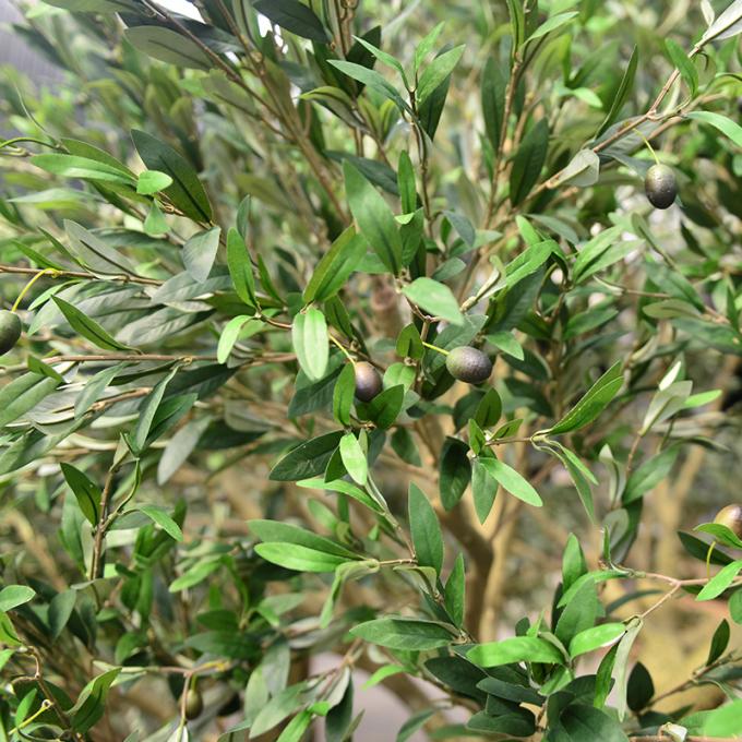 7ft 8ft or customized height most realistic large faux olive tree for indoor hotel lobby and outdoor (uv resistant)_ 4