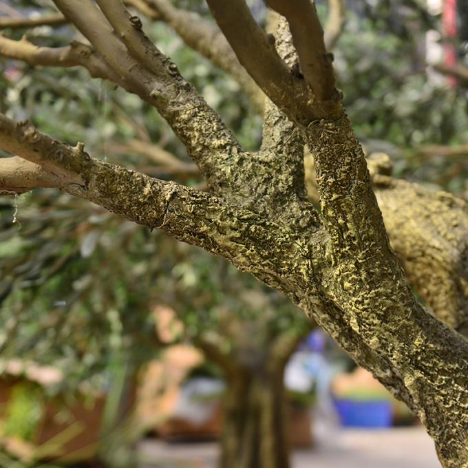7ft 8ft or customized height most realistic large faux olive tree for indoor hotel lobby and outdoor (uv resistant)_ 3