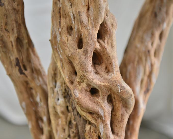 300CM 10FT Artificial Olive Tree Indoor Home Hotel Indoors Restaurant Cafe Restaurants Hotels Interior Olive Tree 12