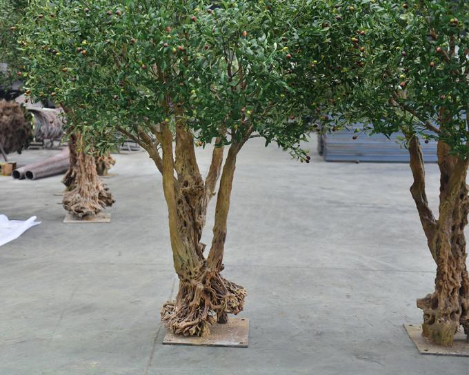 300CM 10FT Artificial Olive Tree Indoor Home Hotel Indoors Restaurant Cafe Restaurants Hotels Interior Olive Tree 9