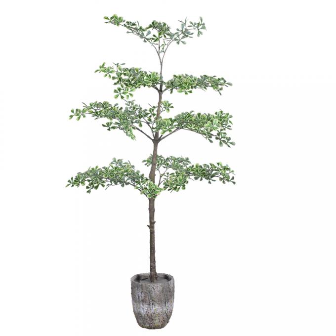 Artificial Terminalia Tree 180cm 260cm 320cm | Large Faux Tree for Hotel & Commercial Landscaping | Indoor Outdoor Decor 5