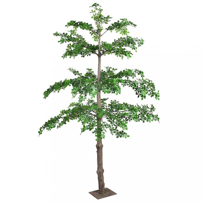 Artificial Terminalia Tree 180cm 260cm 320cm | Large Faux Tree for Hotel & Commercial Landscaping | Indoor Outdoor Decor 4