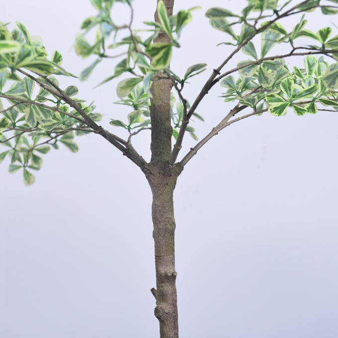 Artificial Terminalia Tree 180cm 260cm 320cm | Large Faux Tree for Hotel & Commercial Landscaping | Indoor Outdoor Decor 3