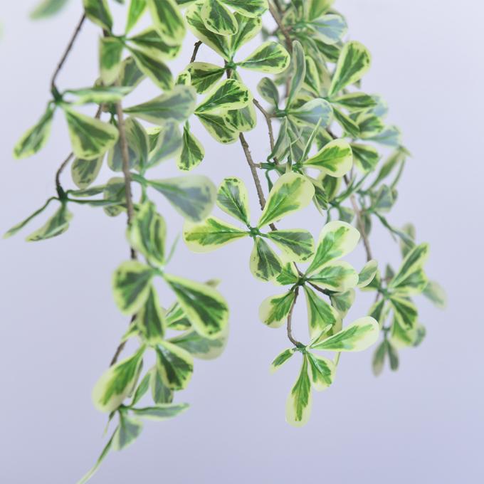 Artificial Terminalia Tree 180cm 260cm 320cm | Large Faux Tree for Hotel & Commercial Landscaping | Indoor Outdoor Decor 2