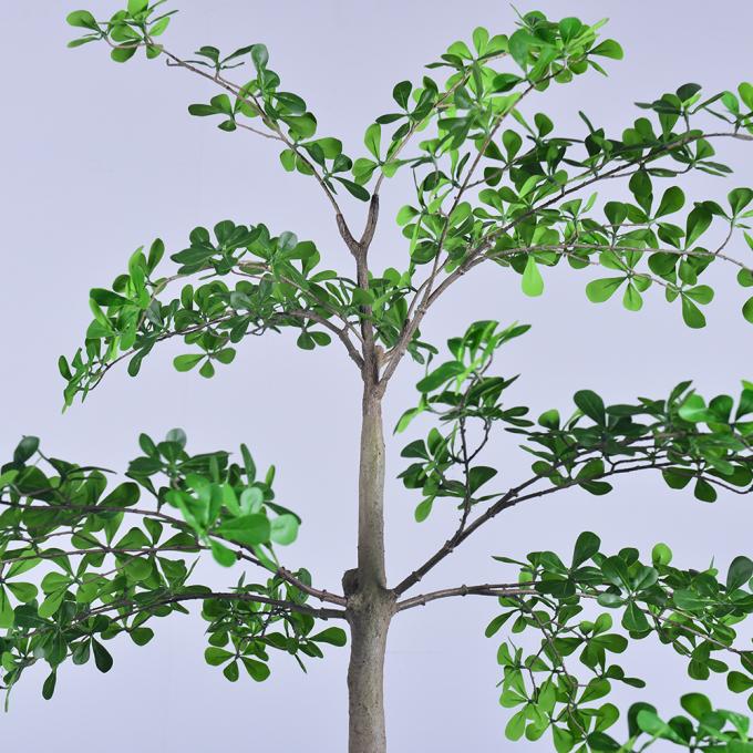 Artificial Terminalia Tree 180cm 260cm 320cm | Large Faux Tree for Hotel & Commercial Landscaping | Indoor Outdoor Decor 7