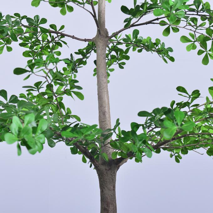 Artificial Terminalia Tree 180cm 260cm 320cm | Large Faux Tree for Hotel & Commercial Landscaping | Indoor Outdoor Decor 6